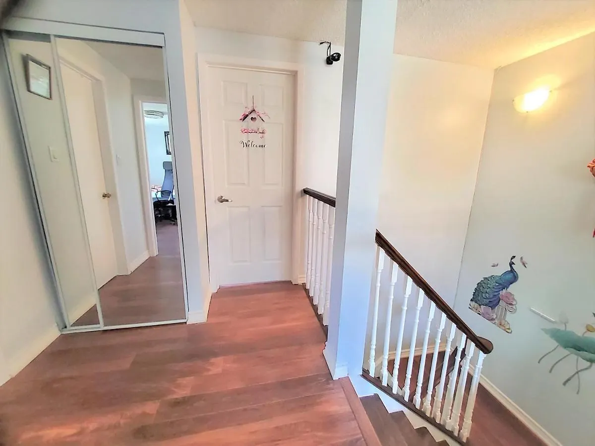 Homestay Cozy And Quiet House With Swimming Pool Apartment Toronto Canada
