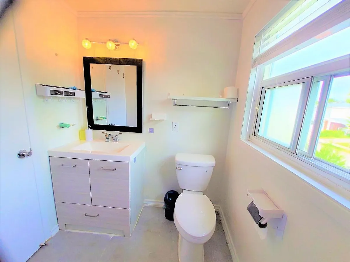 Cozy And Quiet House With Swimming Pool Apartment Toronto Canada